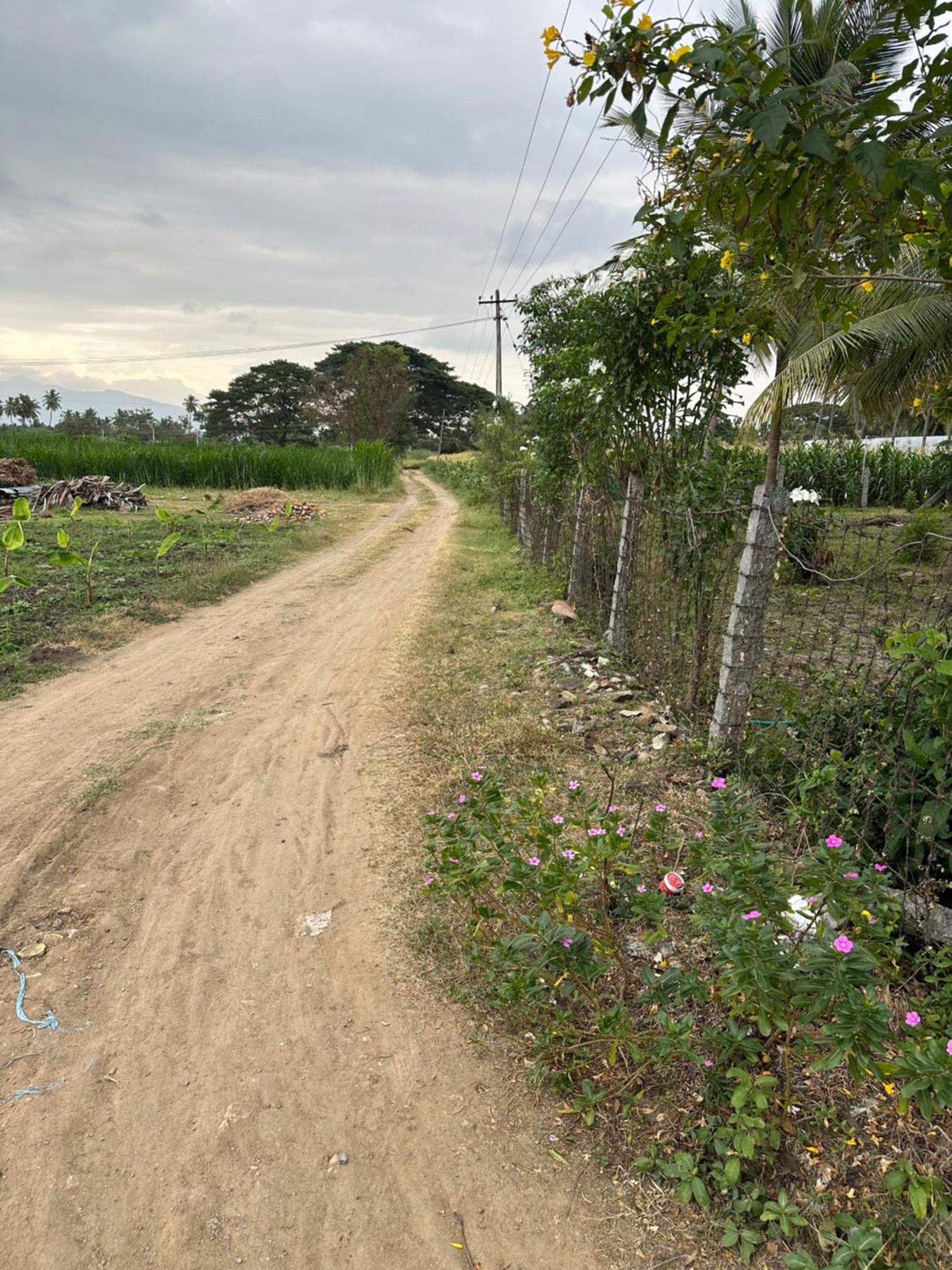 Sakthi Garden Home Stay 埃罗德 外观 照片